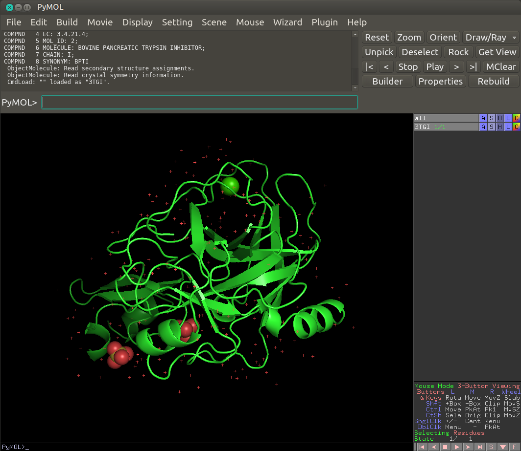 Pymol window with 3D structure of rat's trypsin