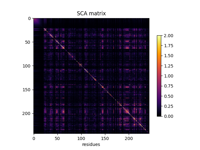 SCA matrix