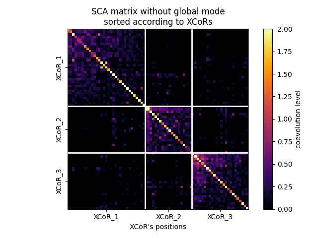 SCA matrix without global mode sorted according to XCoRs