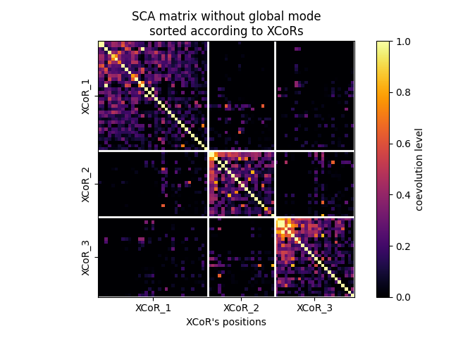 SCA matrix without global mode sorted according to XCoRs