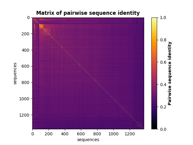 Matrix of pairwise sequence identity