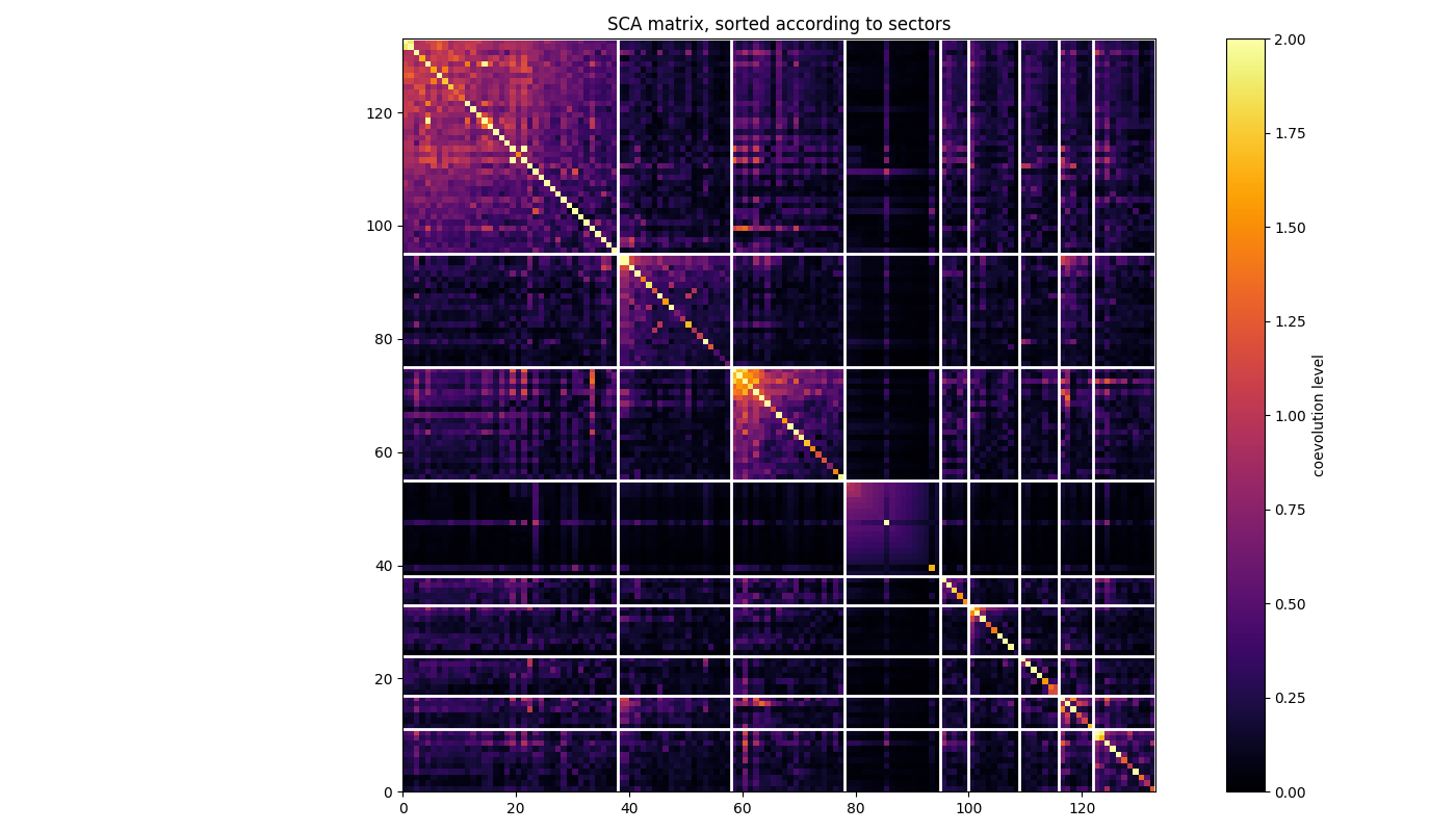 SCA matrix, sorted according to sectors