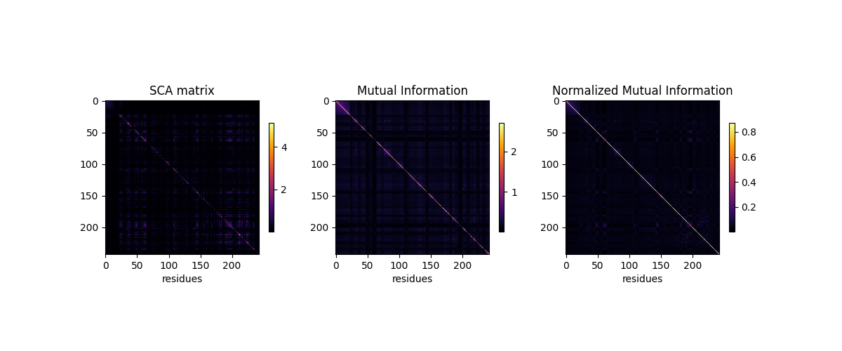 SCA matrix, Mutual Information, Normalized Mutual Information