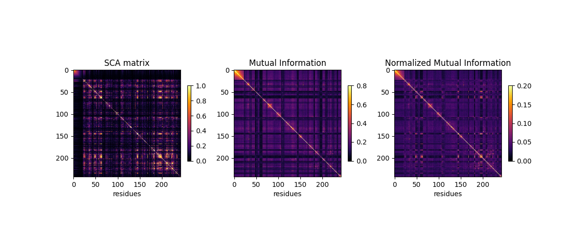 SCA matrix, Mutual Information, Normalized Mutual Information